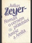 Román o věrném přátelství Amise a Amila - náhled