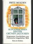 Aufgewachsen hinter grünen Jalousien - náhled