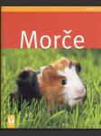 Morče Jak na to - náhled