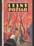 Lesný požiar - náhled