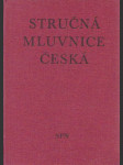 Stručná mluvnice česká - náhled