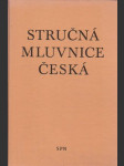 Stručná mluvnice česká - náhled