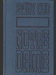 Stíny nad Notre Dame - náhled