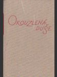 Okouzlená duše II - náhled