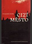 Cizí město - náhled