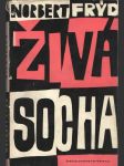 Živá socha - náhled