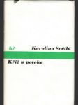Kříž u potoka - náhled