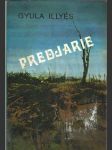 Predjarie - náhled