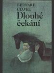 Dlouhé čekání - náhled