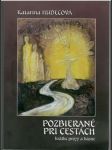 Pozbierané pri cestách - náhled