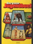 Das grosse Jugendbuch 23. fogle (veľký formát) - náhled