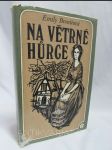 Na větrné hůrce - náhled