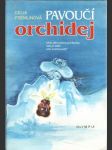 Pavoučí orchidej - náhled