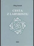 Cesta z labyrintu - náhled