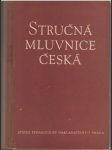 Stručná mluvnice česká - náhled