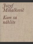 Kam sa náhlite - náhled
