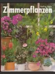 Zimmerpflanzen (veľký formát) - náhled