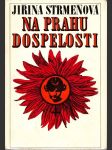 Na prahu dospelosti - náhled