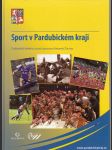 Sport v Pardubickém kraji - náhled