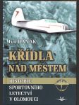 Křídla nad městem sk284. hanák ivo - náhled