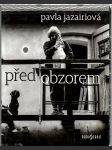 Před obzorem - náhled