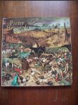 Pieter Bruegel - náhled