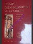 Farnost dolní bojanovice ve xx. století - bilík stanislav / blaha jan / janeček pavel / karas petr - náhled
