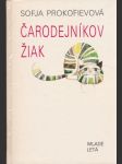 Čarodejníkov žiak - náhled