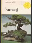 Bonsaj  - náhled