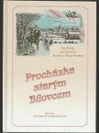 Procházka starým Bílovcem - náhled