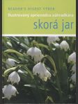 Skorá jar (veľký formát) - náhled