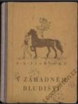 V záhadném bludišti - náhled