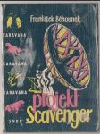 Projekt Scavenger - náhled