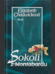 Sokoli z Montabardu - náhled