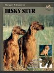 Irský setr - náhled