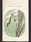 Před jarem - náhled