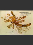 Trockenblumen und Fruchtstände (veľký formát) - náhled