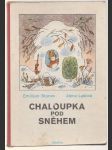 Chaloupka pod sněhem - náhled