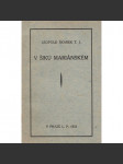 V šiku mariánském - náhled
