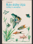 Kde dúhy žijú rybky v akváriu (veľký formát) - náhled