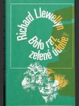 Bolo raz zelené údolie - náhled