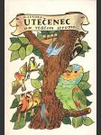 Utečenec na vtáčom strome - náhled