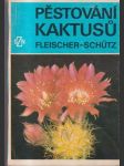 Pěstování kaktusů - náhled