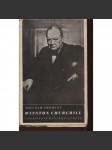 Winston Churchill. Život a doba - náhled