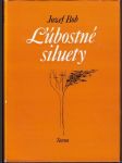 Ľúbostné siluety (veľký formát) - náhled
