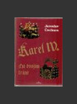 Karel IV. Na dvojím trůně - náhled