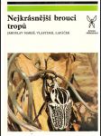Nejkrásnější brouci tropů - náhled