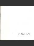 Dokument. Vladimír Birgus, Petr Klimpl, Josef Pokorný (fotografie, výstavní katalog) - náhled