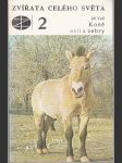Zvířata celého světa 2 / Koně, osli a zebry - náhled