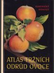 Atlas tržních odrůd ovoce (veľký formát) - náhled